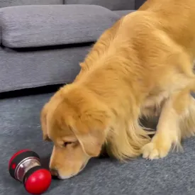 Slow Feeder Pet Improve IQ Indoor Training Puppy Toys
