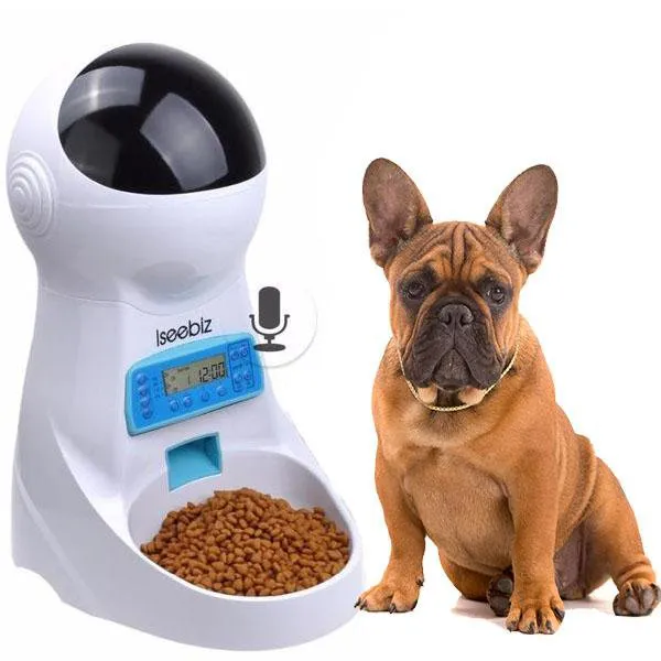 Smart  Frenchie Food Feeder