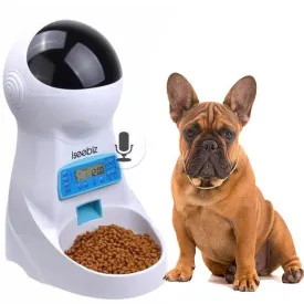 Smart  Frenchie Food Feeder