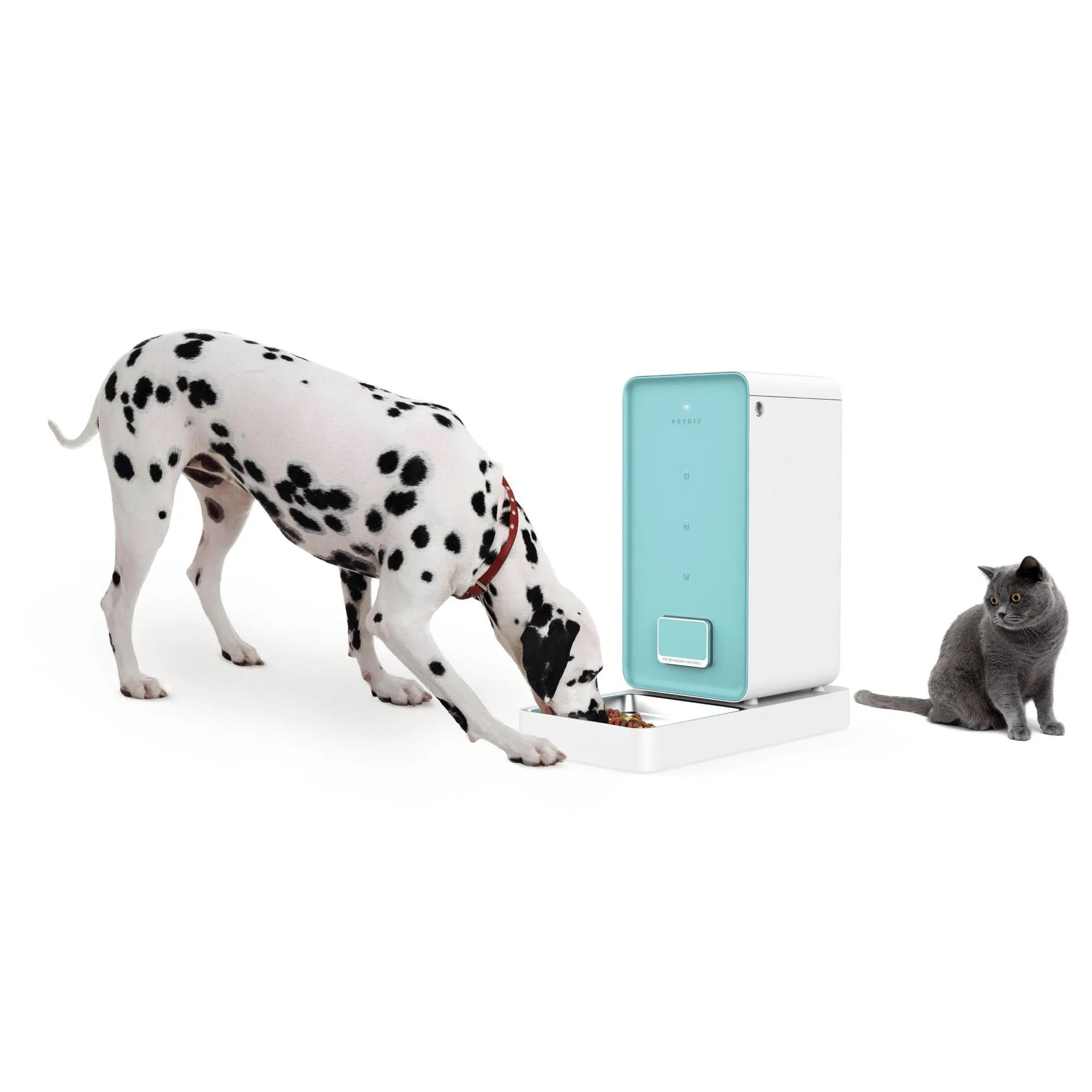 Smart pet food container feeder Felina