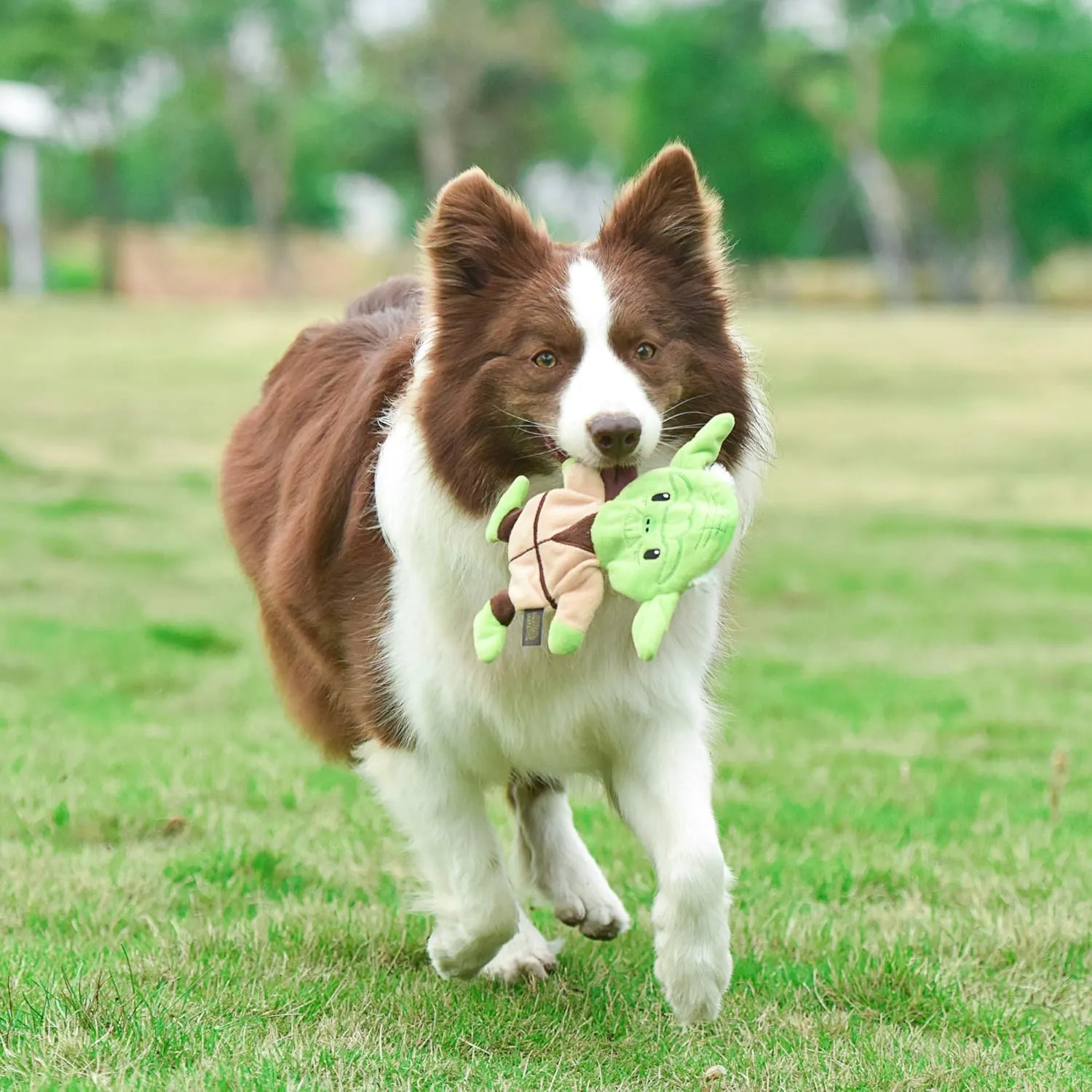 Star Wars for Pets Yoda Plush Flattie Dog Toy - Medium Flat, Fabric Stuffingless Chewable Toys for All Dogs - Officially Licensed, 9 Inch