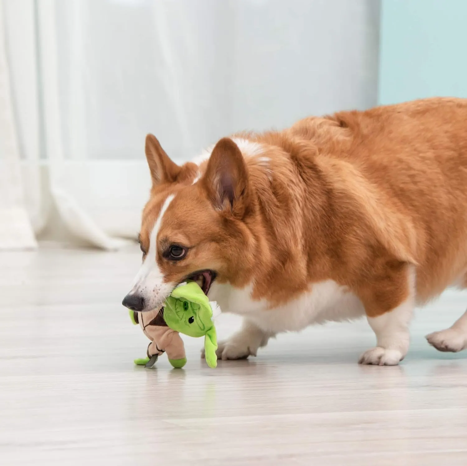 Star Wars for Pets Yoda Plush Flattie Dog Toy - Medium Flat, Fabric Stuffingless Chewable Toys for All Dogs - Officially Licensed, 9 Inch