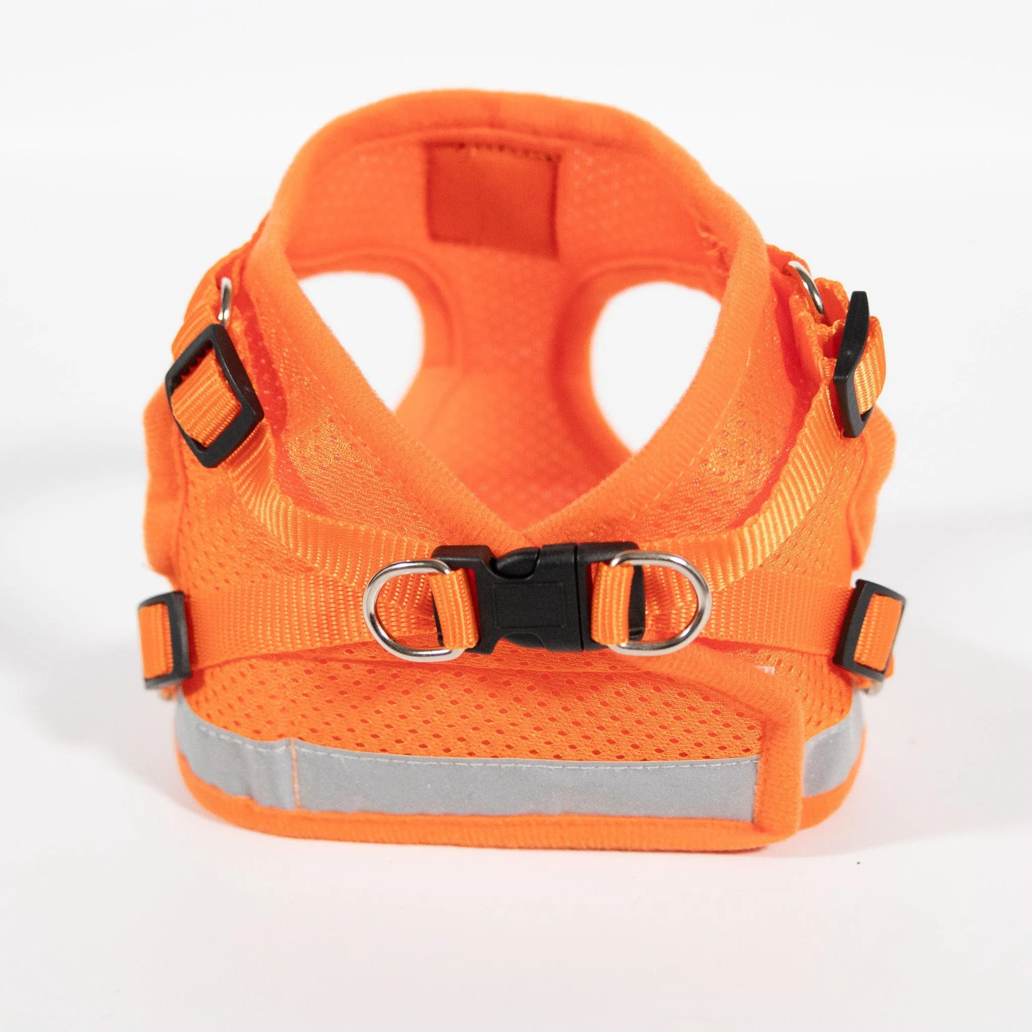 The Orange True Adventurer" Reflective Cat & Kitten Harness and Leash