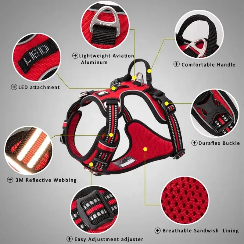 Truelove Pet Harness   Leash Set