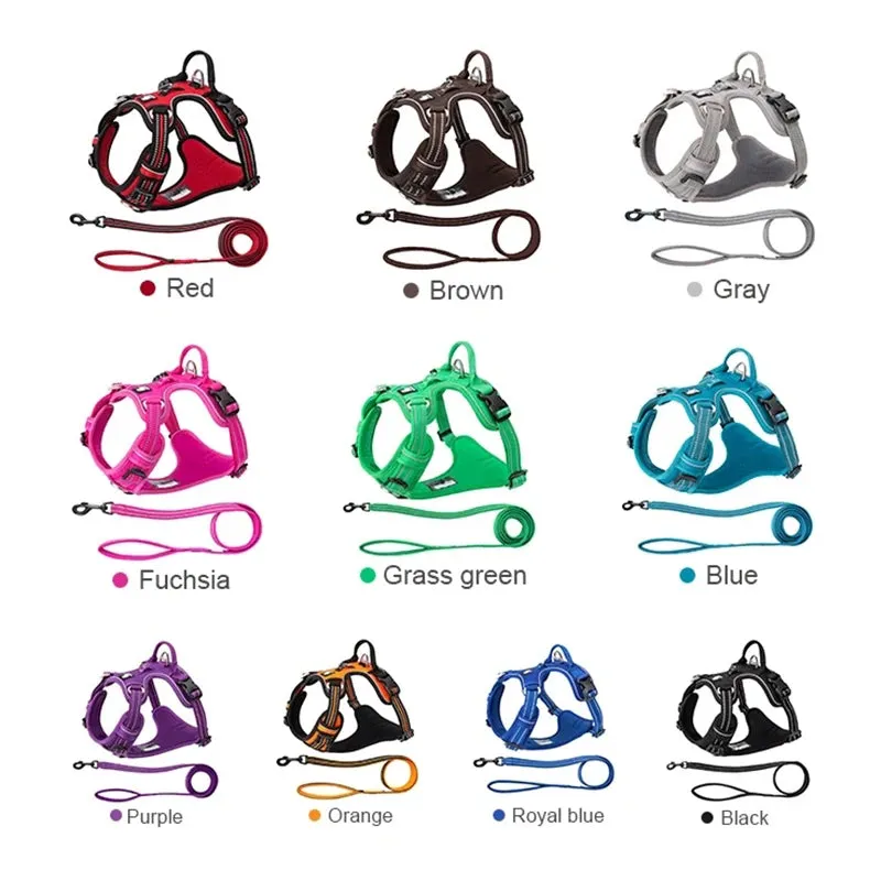 Truelove Pet Harness   Leash Set