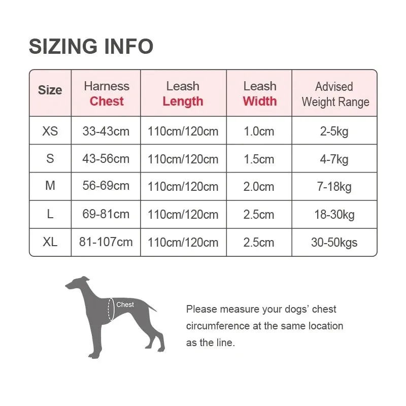 Truelove Pet Harness   Leash Set