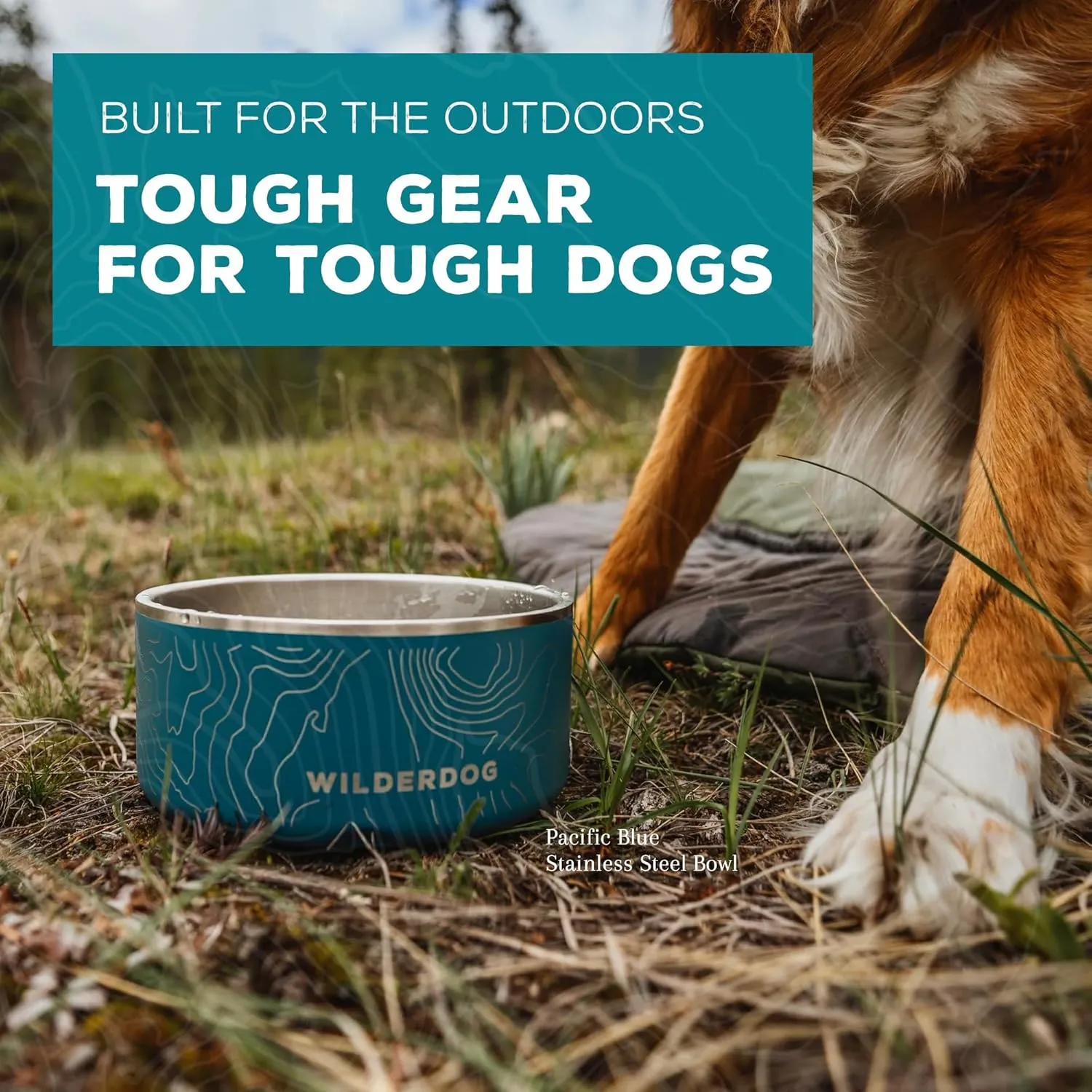 Widlerdog Stainless Steel Dog Bowl with Extra Durable Kitchen-Grade BPA-Free Stainless Steel with Non-Slip Rubber Ringed Bottom