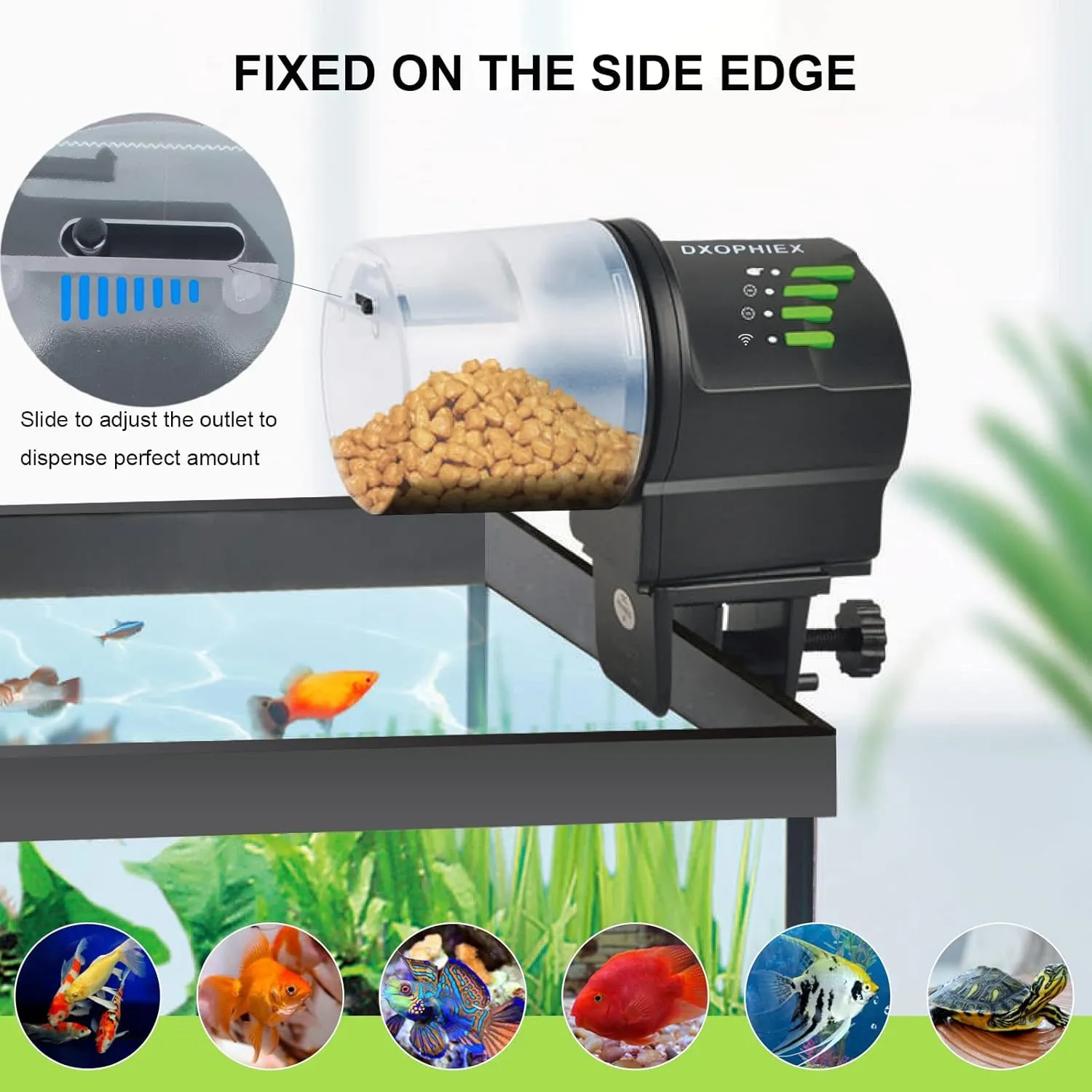 WiFi Fish Feeder Automatic Fish Feeder Automatic Dispenser Vacation for Aquarium and Turtle Tank with Feeding Ring