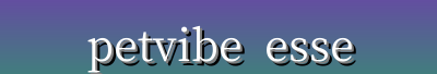 PetVibe Essentials | Smart Pet Gear, Daily Grooming, Pet Style & Nutrition